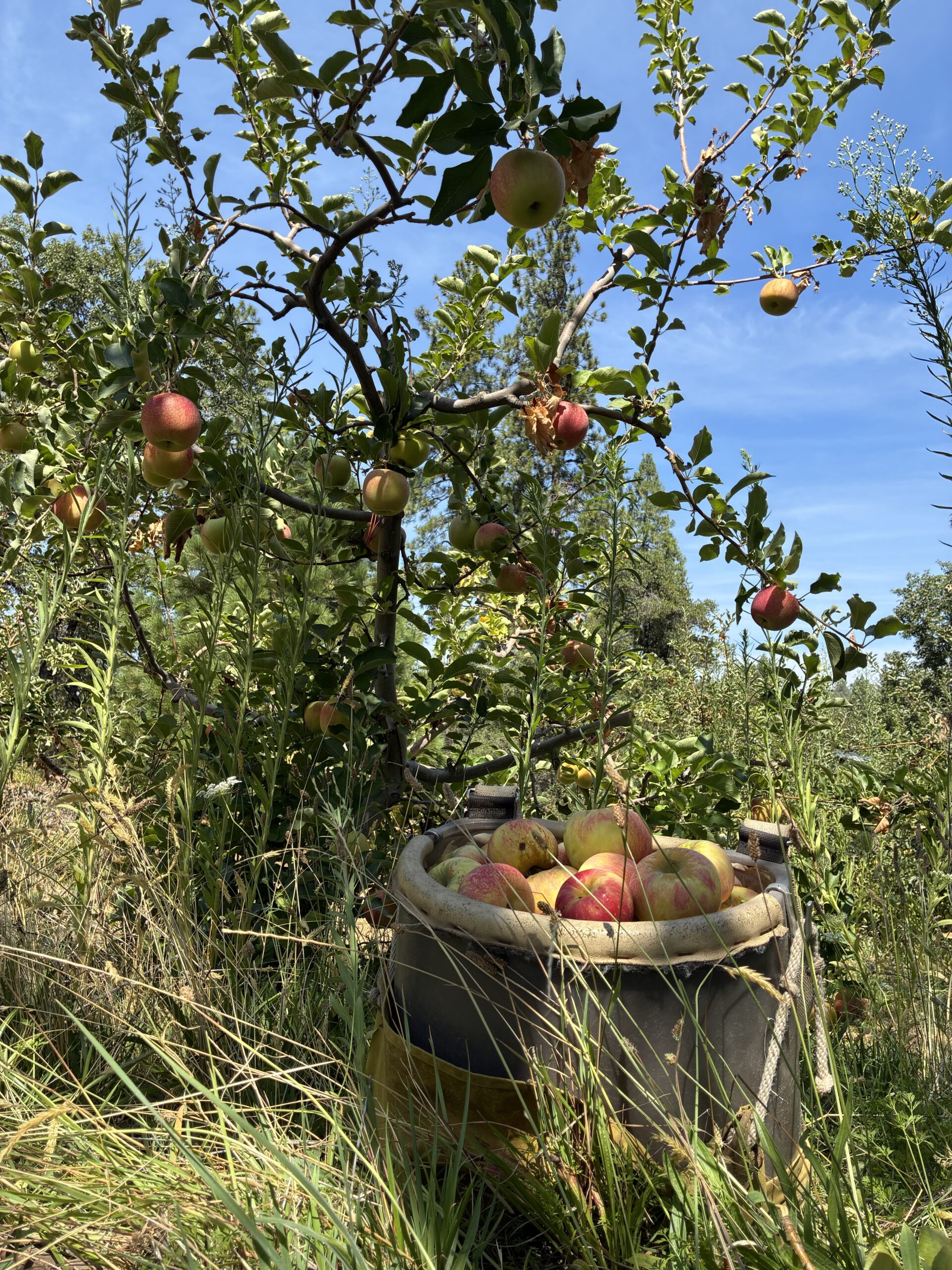 From The Farm – Smokey Ridge Ranch
